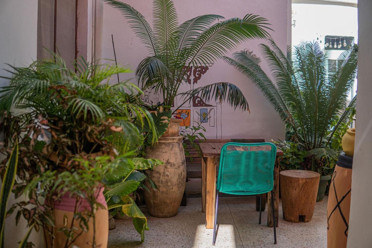 Bed and Breakfast Tarawanda House -Thrivestawi Sansibar Exterior foto